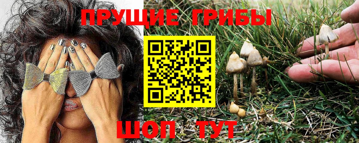 Псилоцибиновые грибы Magic Shrooms Альметьевск