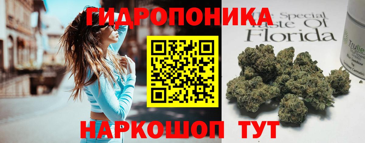 Конопля план Альметьевск